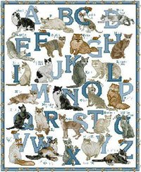 Схемы: алфавит с кошками